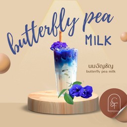Butterfly pea Milk นมอัญชัญ