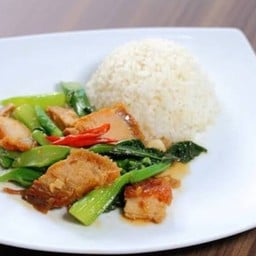 มารวยเตี๋ยวไก่มะระ ปิ่นทอง1 ปิ่นทอง1