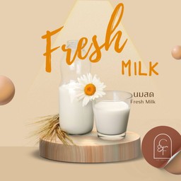 FRESH MILK นมสด