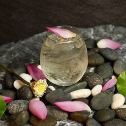 น้ำดอกบัว(Ice Lotus Water)