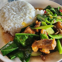 ข้าวคะน้าหมูกรอบ