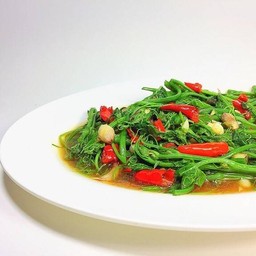 ยอดมะระผัดไฟแดง