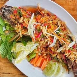 ปลาช่อนลุยสวน