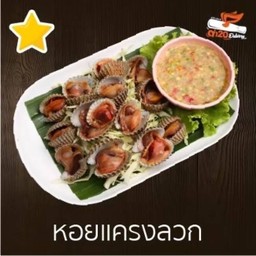 หอยแครงลวก