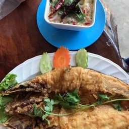ปลาช่อนแดดเดียว