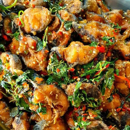 ผัดกะเพราปลาดุก