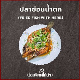 ปลาช่อนน้ำตก