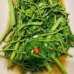 ผัดผักกะเฉด