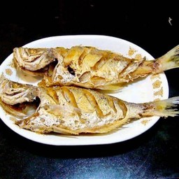 ปลาขนุน 2 ตัว