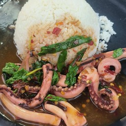 ข้าวกะเพราปลาหมึก