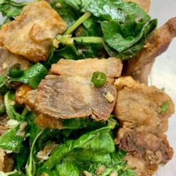 หมูกรอบกระเพรา