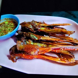 ปากเป็ดย่าง