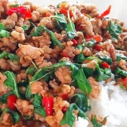 กระเพราหมูสับราดข้าว