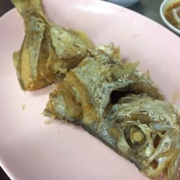 ปลาใบขนุน 1 ตัว
