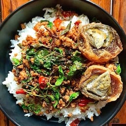 ข้าวกะเพรากรอบไข่เยี่ยวม้าหมูสับ
