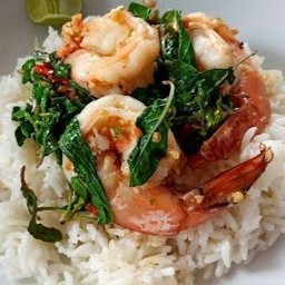 ผัดกะเพรากุ้งราดข้าว