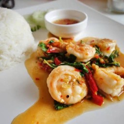 กะเพรา กุ๊กกุ๊ก