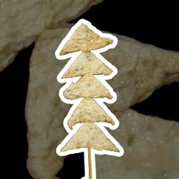 ฟองเต้าหู้ปลา