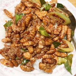 ผัดพริกแกงเผ็ด_หนอนดักแด้ = กับข้าว