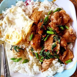 กระเพราหมูชิ้นพริกแห้ง+ไข่ดาว