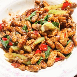 ข้าว+ผัดกะเพราดักแด้  แซ่บ&มัน ระเบิด เทิด เทิง