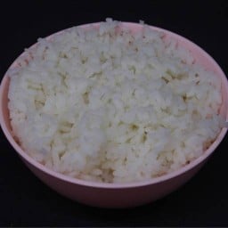 ข้าวเปล่า