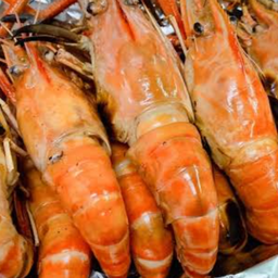 กุ้งเผาหัวมันแก้ว ขนาด.11-12ตัวโลแแ