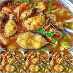 แกงป่าปลาดุก