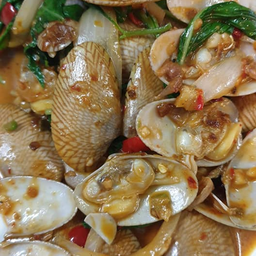หอยลายผัดพริกเผา