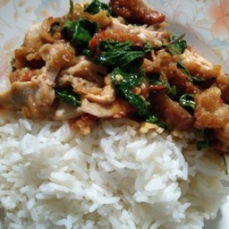 กะเพราไก่ราดข้าว