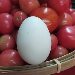 ไข่เค็ม