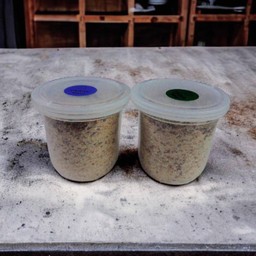 พริกเกลือลาว(ใหญ่)