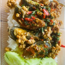 ข้าว กะเพราไข่เยี่ยวม้า