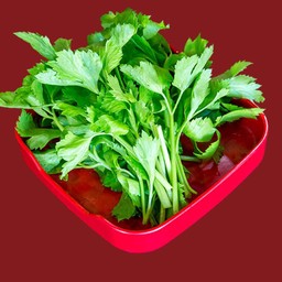 ขึ้นฉ่าย