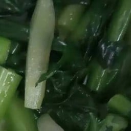 ผักคะน้า