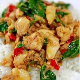 กะเพราไก่ราดข้าว