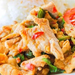 ผัดกระเพราไก่ - ราดข้าว
