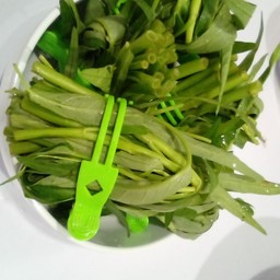 ผักบุ้ง