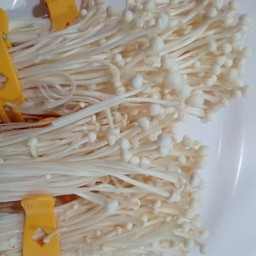 เห็ดเข็มทอง