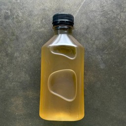 เก๊กฮวย