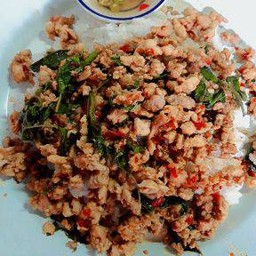 ข้าวกะเพราหมู