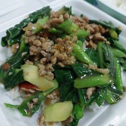 คะน้าหมูสับราดข้าว