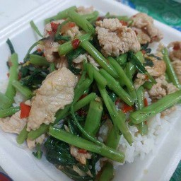 ผักบุ้งหมูสับราดข้าว