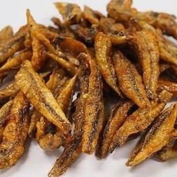 ปลากรอบ