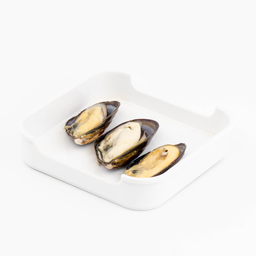 หอยแมลงภู่