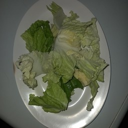 ผักกาดขาว