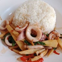 ผัดกระเพราปลาหมึกใส่หน่อไม้ราดข้าว