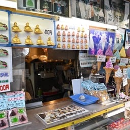 Tsurugaoka Hachimangu 鶴岡八幡宮