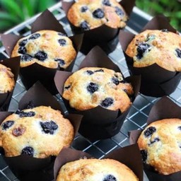 Blueberry Muffin