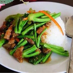ข้าวผักคะน้าราดข้าว